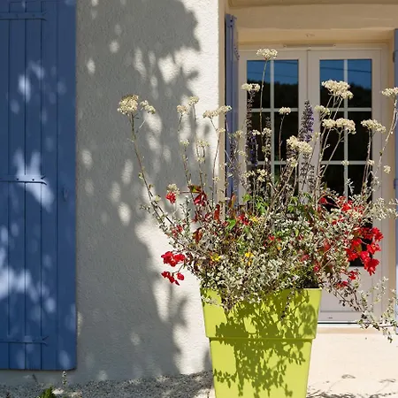 Moulin De Vigne 度假居 *